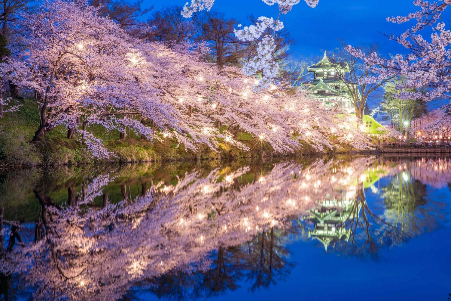 Japan 1. Niigata Japan. Япония Такада парк Сакура. Японский парк Весна 8к. Город Такада в Японии.